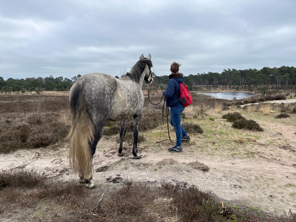 Grondwerk in open ruimte aan de hand